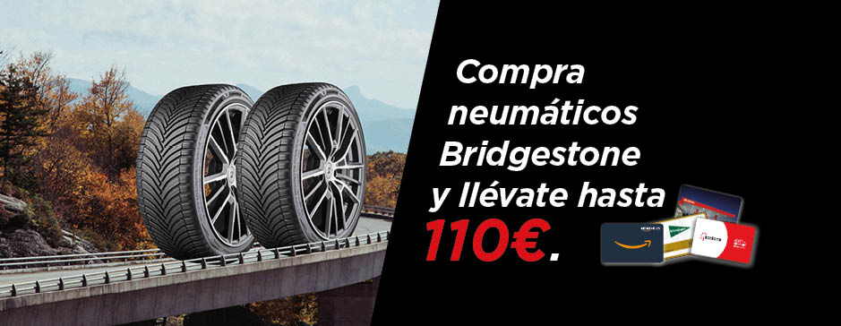 Neumáticos Bridgestone